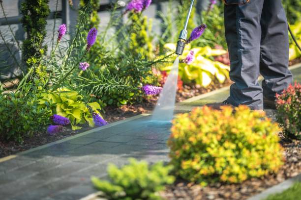 Best Restaurant Pressure Washing  in Landing, NJ