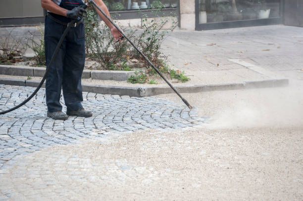 Best Animal Enclosure Cleaning  in Landing, NJ